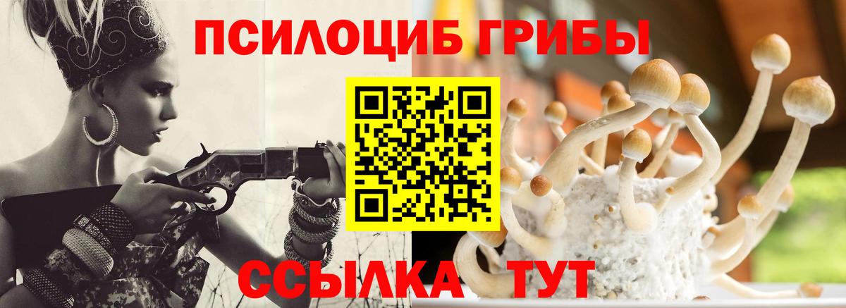 Псилоцибиновые грибы Cubensis Лобня